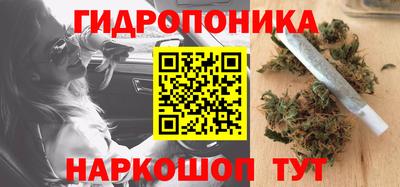 ПСИЛОЦИБИНОВЫЕ ГРИБЫ Пенза