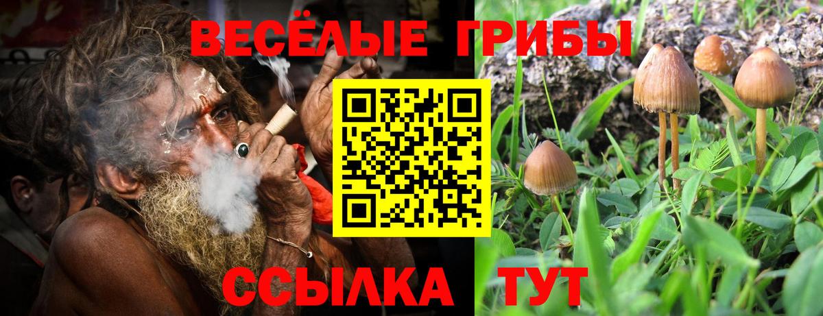 Ртищево  Псилоцибиновые грибы Cubensis  Псилоцибиновые грибы Magic Shrooms  Вход с VPN 